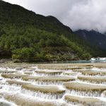 2017復旦張江云南行